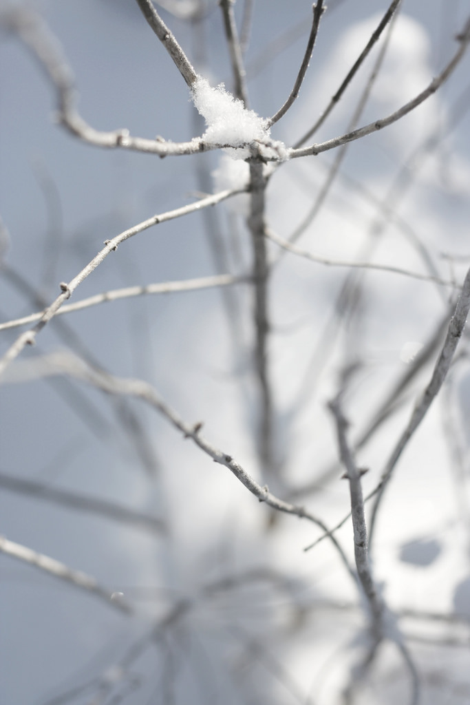 winter 2014 : 11